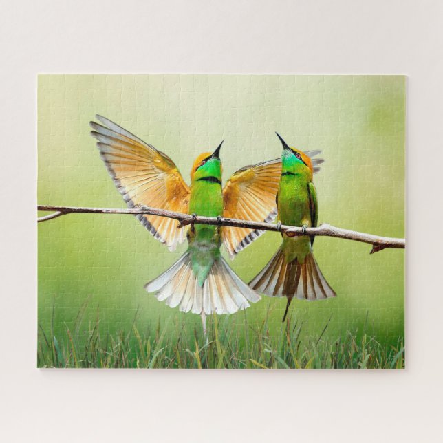 European Bee-Eater Colourful Bird Jigsaw Puzzle (Horizontal)