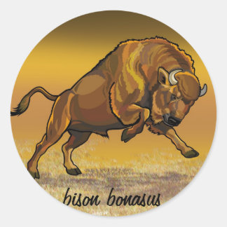 european bison classic round sticker