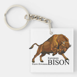 european bison key ring