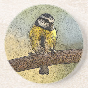 European blue tit coaster