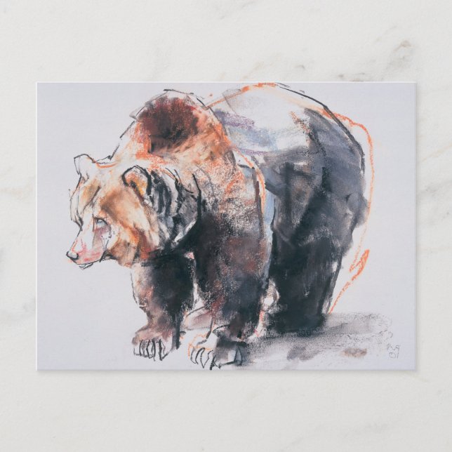 European Brown Bear 2001 Postcard (Front)