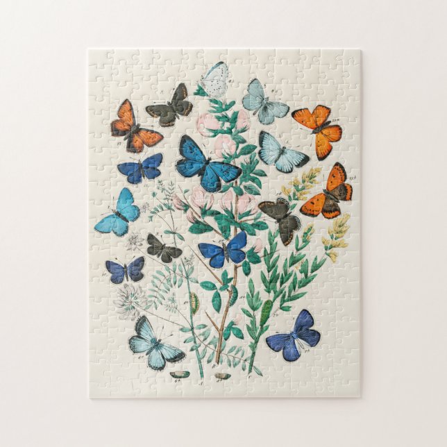 European Butterflies & Moths  Jigsaw Puzzle (Vertical)