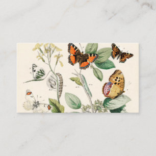 European Butterflies Moths William Forsell Kirby Business Card