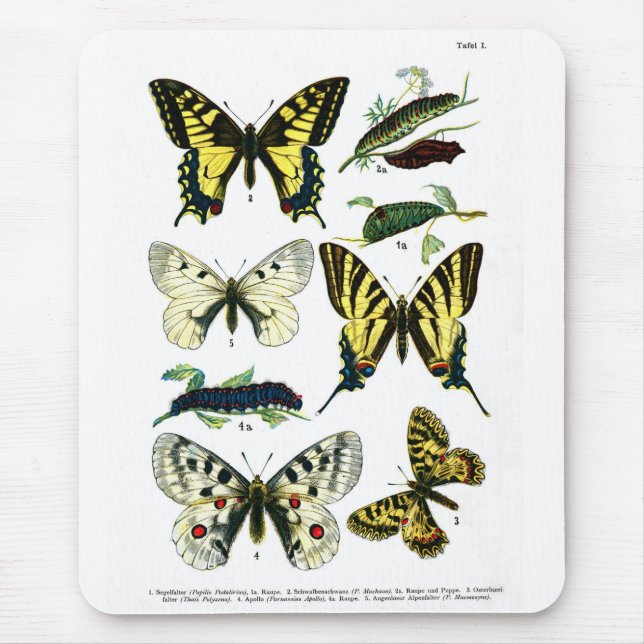 European Butterflies Plate I Mouse Pad (Front)
