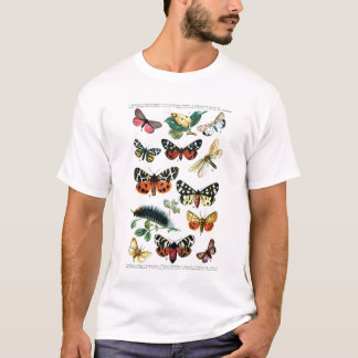 European Butterflies T-Shirt