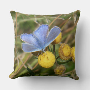 European Common Blue Butterfly Throw Pillow