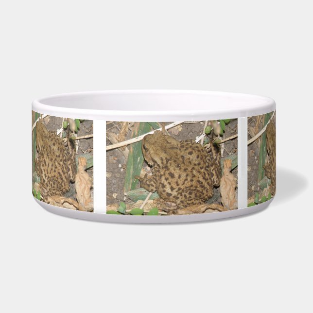 European Common Toad Bowl (Left)