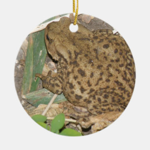 European Common Toad Custom Birthday Ceramic Tree Decoration