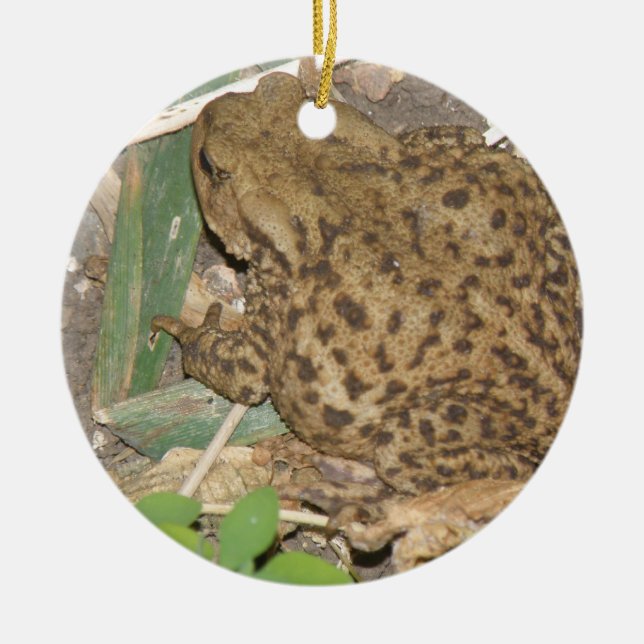 European Common Toad Custom Birthday Ceramic Tree Decoration (Front)
