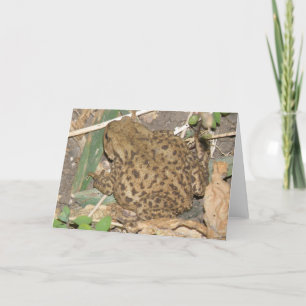 European Common Toad Greeting Card