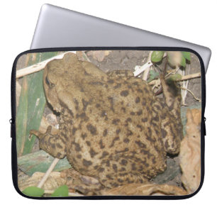 European Common Toad Laptop Bag