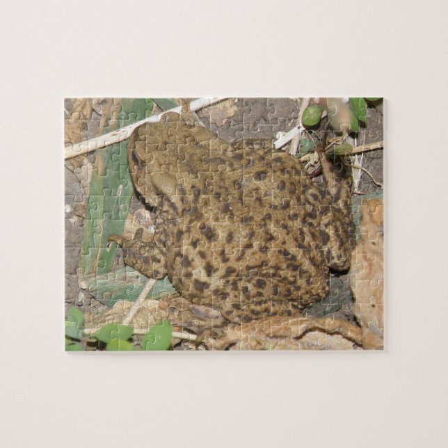 European Common Toad Puzzle (Horizontal)