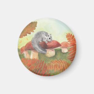 European Fat Dormouse (Glis glis) in Nature Magnet