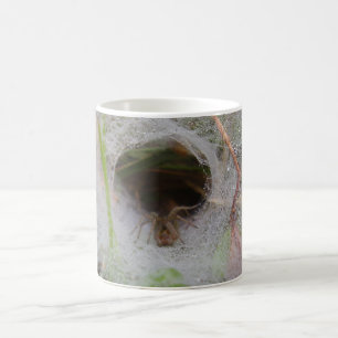 European Funnel Web Spider Bug Mug