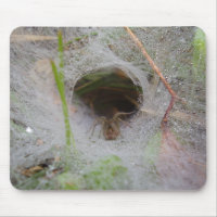 European Funnel Web Spider Mouse Mat