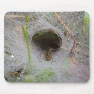 European Funnel Web Spider Mouse Mat