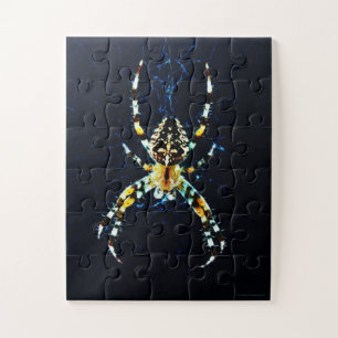 European Garden Spider 11x14 30pc jpcna Jigsaw Puzzle