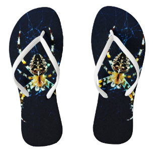 European Garden Spider ffcn Thongs