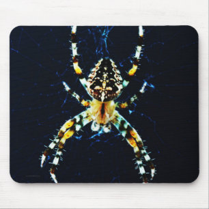 European Garden Spider mpcnm Mouse Pad