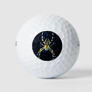 European Garden Spider wu gba Golf Balls
