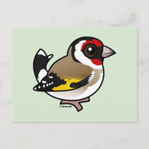 European Goldfinch Postcard