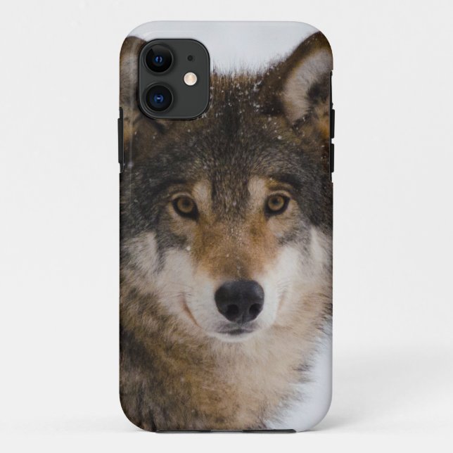 European grey wolf Case-Mate iPhone case (Back)