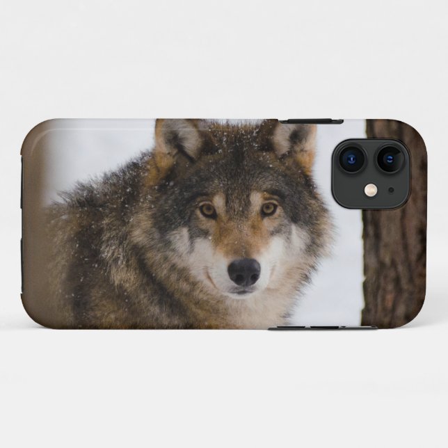 European grey wolf Case-Mate iPhone case (Back (Horizontal))