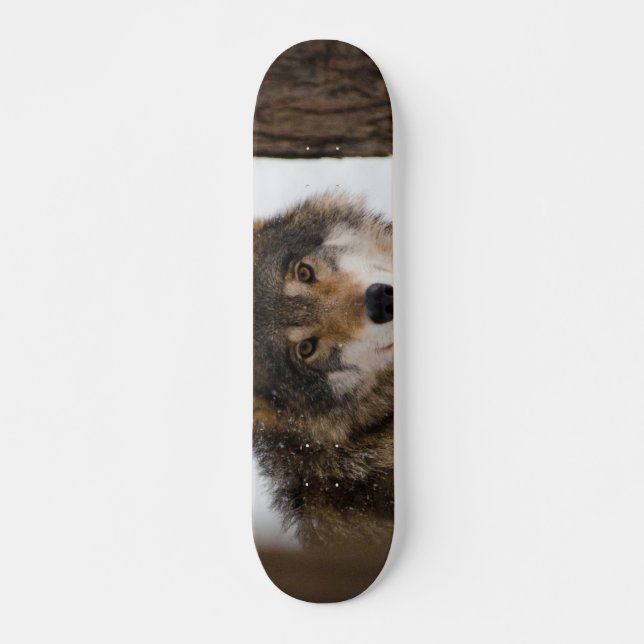 European grey wolf skateboard (Front)