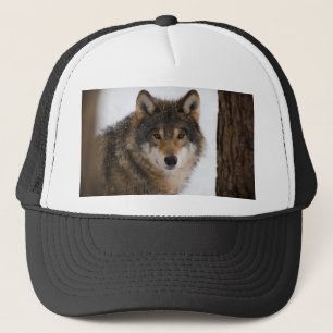 European grey wolf trucker hat