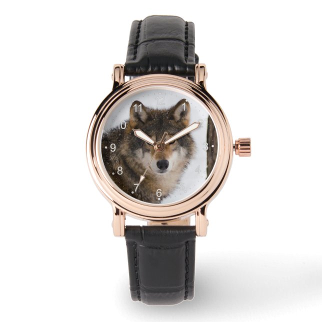 European grey wolf watch (Front)