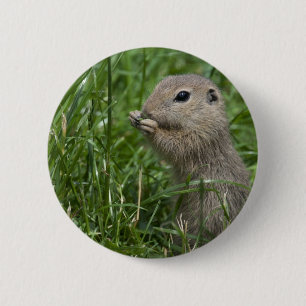 European ground squirrel 6 cm round badge
