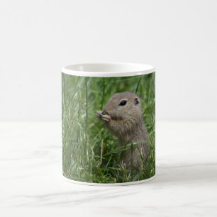 European ground squirrel coffee mug