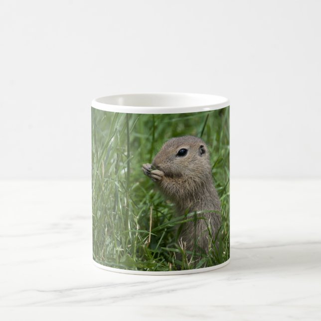 European ground squirrel coffee mug (Center)