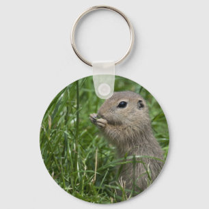 European ground squirrel key ring