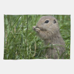 European ground squirrel tea towel