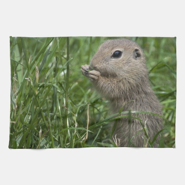 European ground squirrel tea towel (Horizontal)