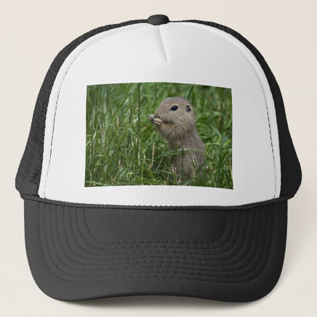 European ground squirrel trucker hat (Front)