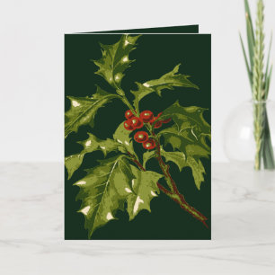 European-Holly With Red-Coloured Drupes Botanical- Holiday Card