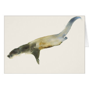 European Otter