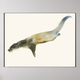 European Otter Poster