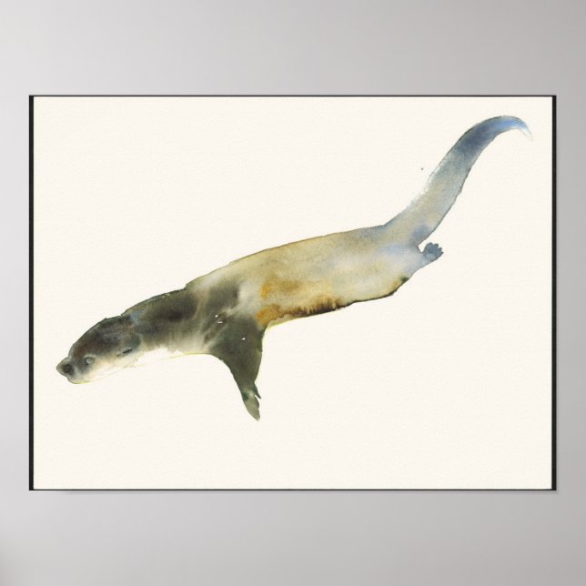 European Otter Poster (Front)