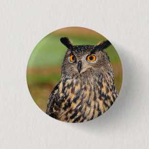 European Owl Bird 3 Cm Round Badge