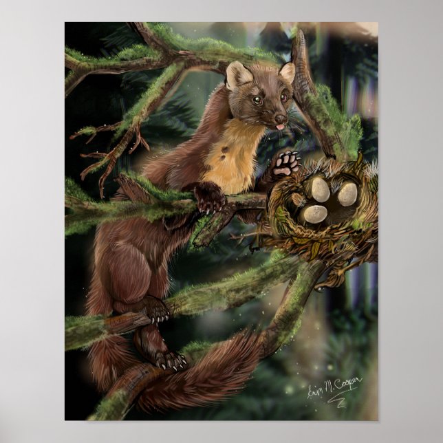 European Pine Marten Poster (Front)