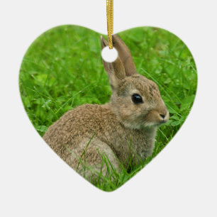 European-rabbit image for Heart Ornament