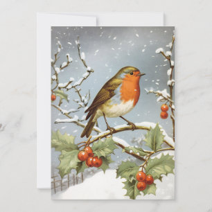 European Robin Bird Holly Snow Christmas Holiday Card