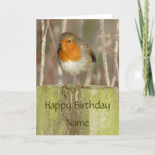 "European Robin-Bird Northumberland England" Card