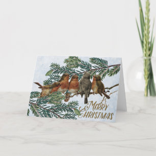 European Robin Birds Christmas Holiday Evergreen Card