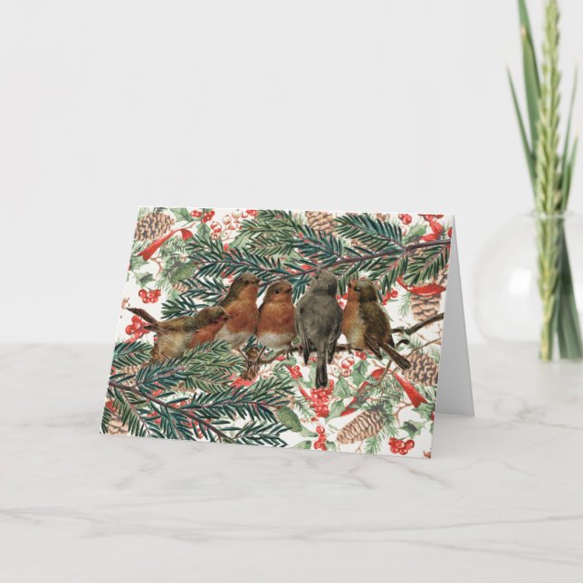 European Robin Birds Christmas Holiday Red Ribbon  (Front)