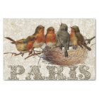 European Robin Birds Nest Paris Decoupage