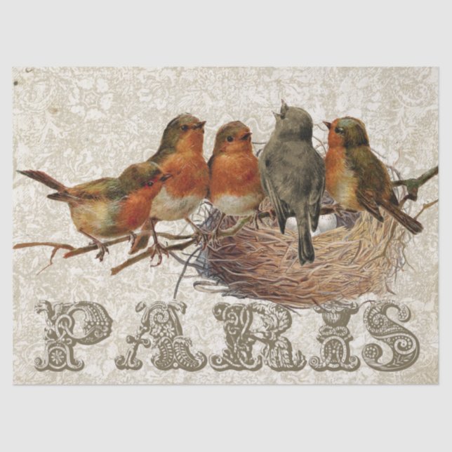 European Robin Birds Nest Paris Decoupage Tissue Paper (Front)